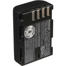 Panasonic DMW-BLF19 Battery 001